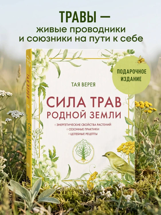 Сила трав родной земли. Энергетические свойства растений, сезонные практики и целебные рецепты