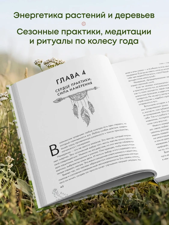Сила трав родной земли. Энергетические свойства растений, сезонные практики и целебные рецепты