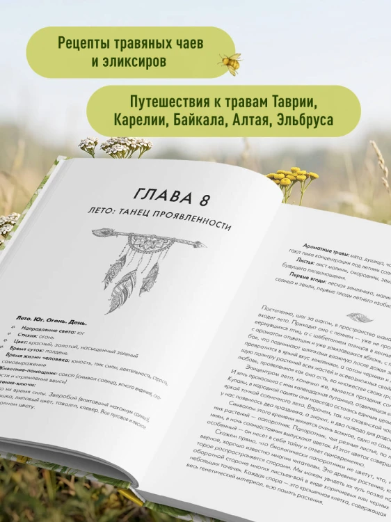 Сила трав родной земли. Энергетические свойства растений, сезонные практики и целебные рецепты