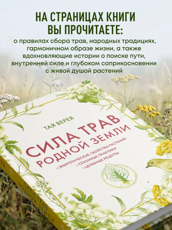 Сила трав родной земли. Энергетические свойства растений, сезонные практики и целебные рецепты