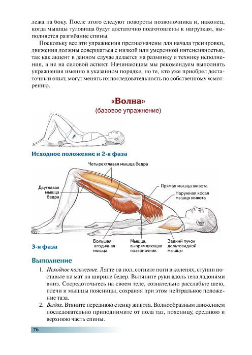 Анатомия пилатеса4.jpg
