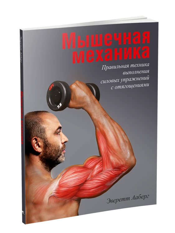 Мышечная механика.png