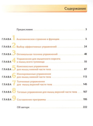 Мышечная механика2.jpg