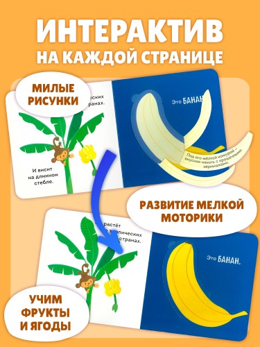 Фрукты и ягоды