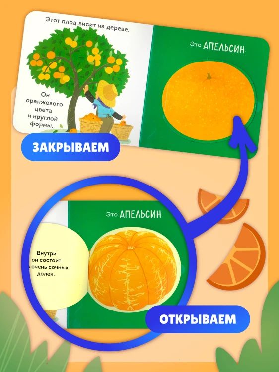 Фрукты и ягоды