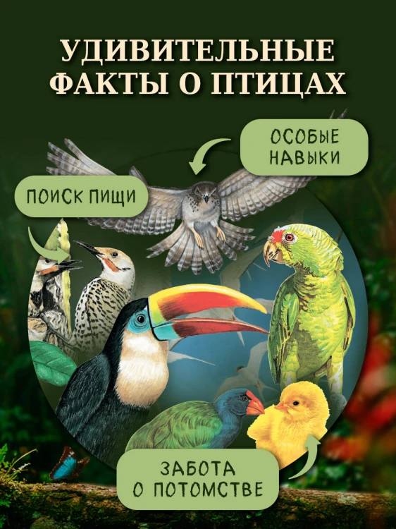 Птицы