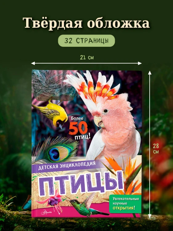 Птицы