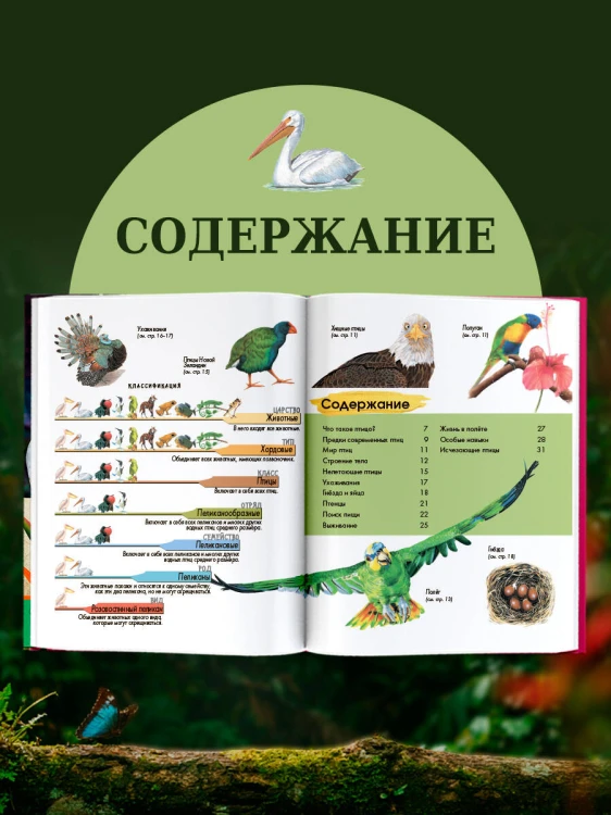 Птицы