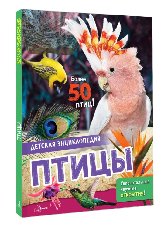Птицы