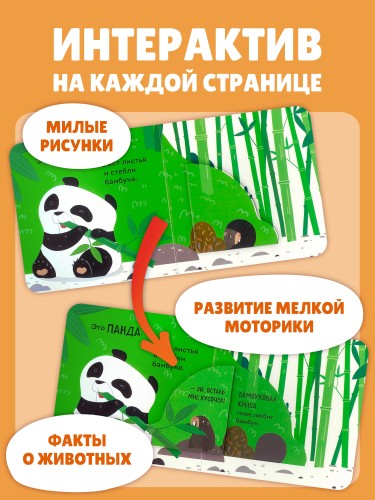 Дикие животные
