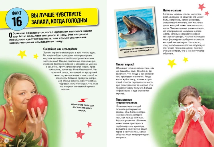 Всё о теле человека