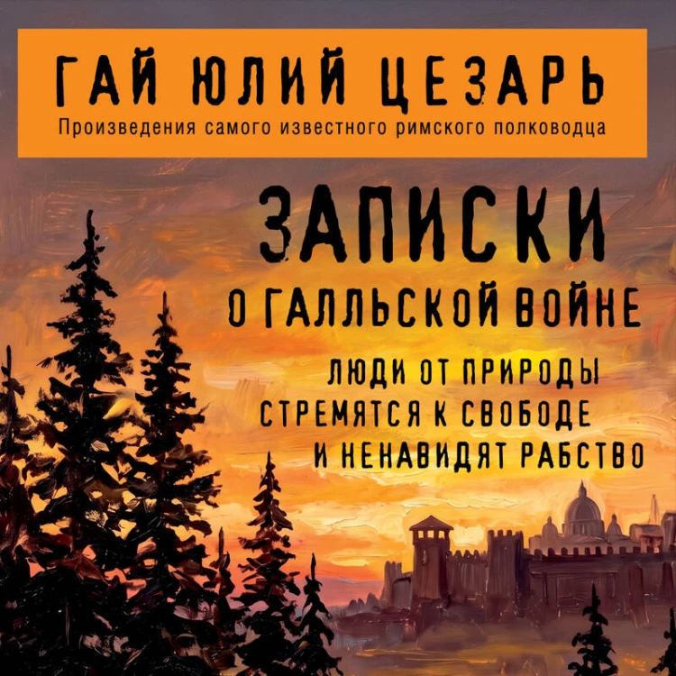 Записки о Галльской войне
