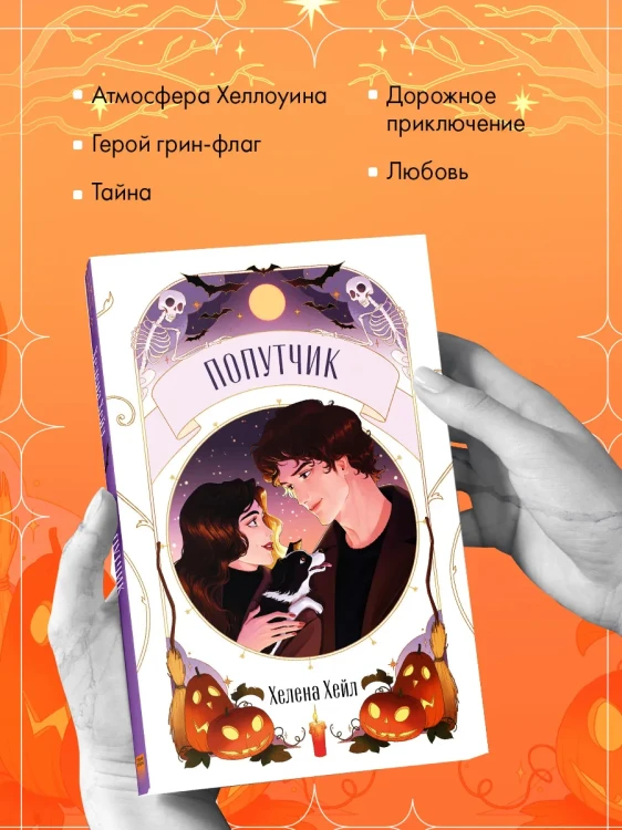 Попутчик