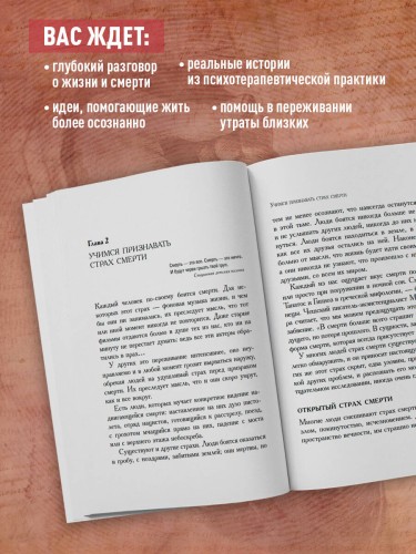 Вглядываясь в солнце. Жизнь без страха смерти