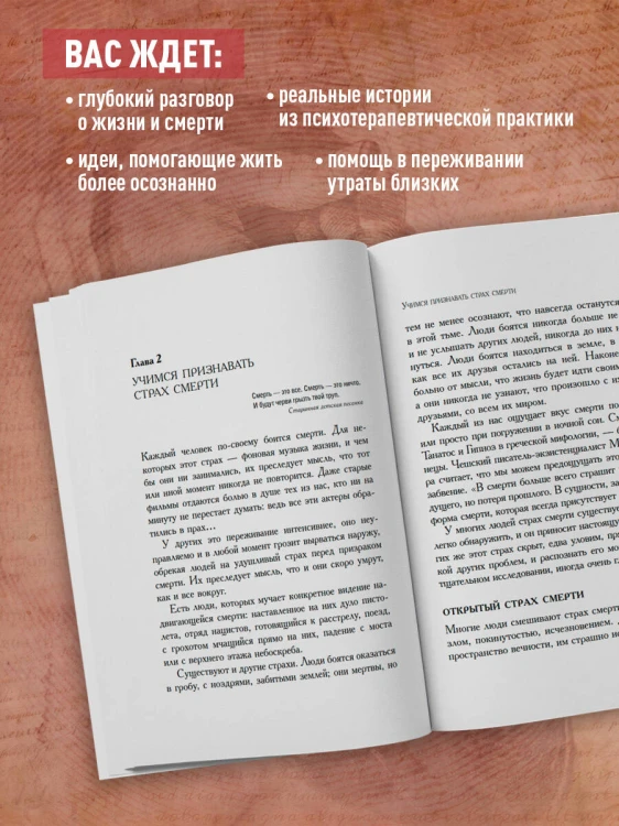 Вглядываясь в солнце. Жизнь без страха смерти