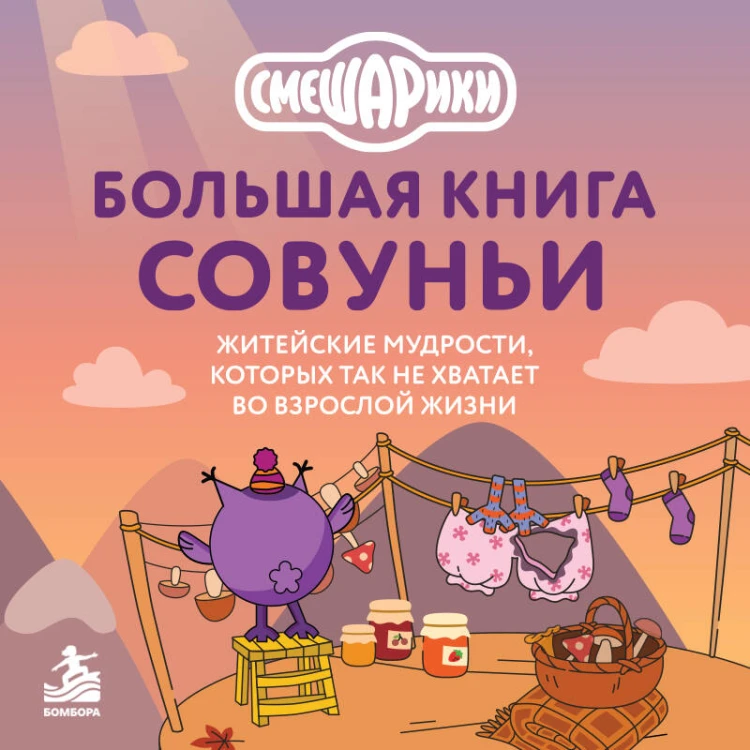 Большая книга Совуньи. Житейские мудрости, которых так не хватает во взрослой жизни