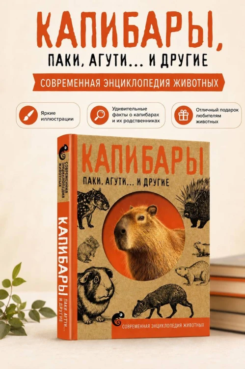 Капибары, паки, агути и другие