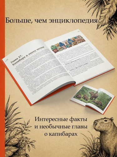 Капибары, паки, агути и другие
