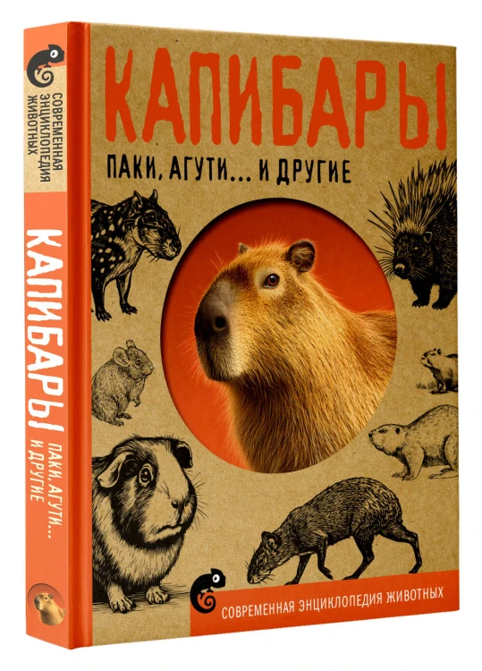 Капибары, паки, агути и другие