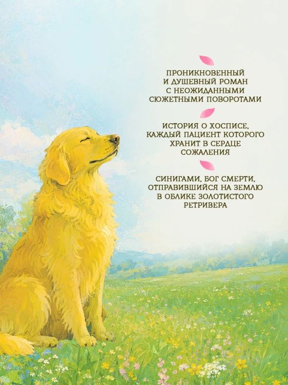 Золотистый ретривер у изголовья кровати