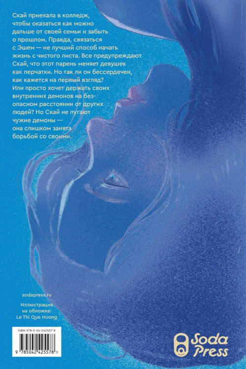 Комплект Эш и Скай. Книга 1. Когда пепел падает с небес + Встретимся в синий час
