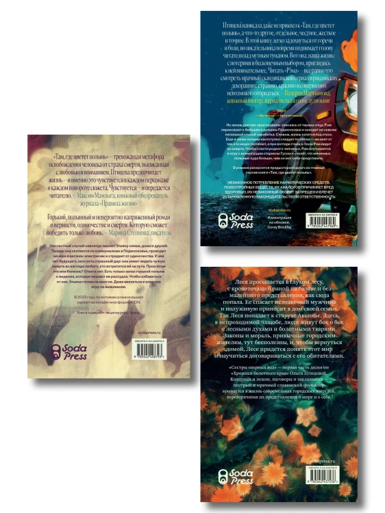 Комплект Там, где цветет полынь + Рэм + Сестры озерных вод. Книга 1 (Soda Press)