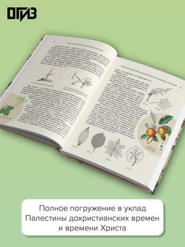 Библейская флора