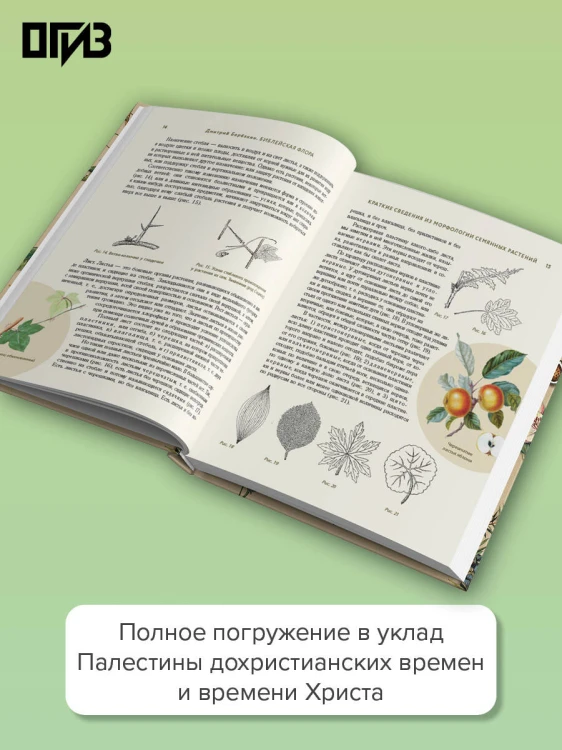 Библейская флора