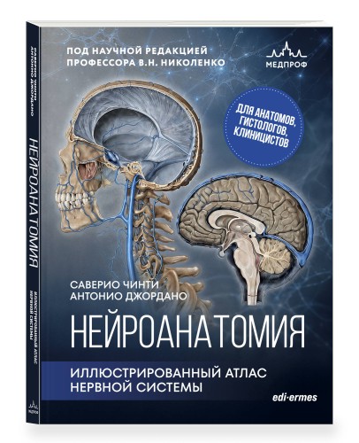 Нейроанатомия. Иллюстрированный атлас нервной системы