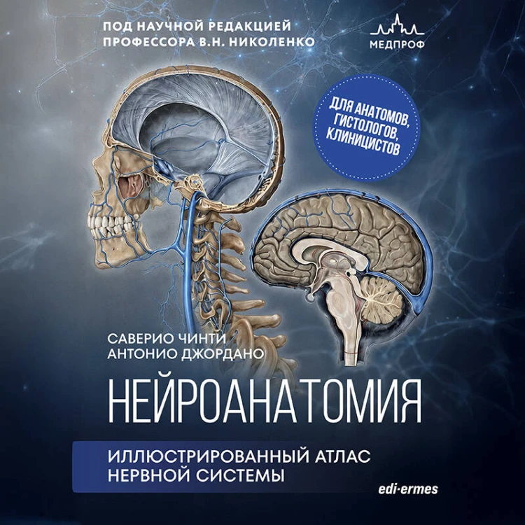 Нейроанатомия. Иллюстрированный атлас нервной системы