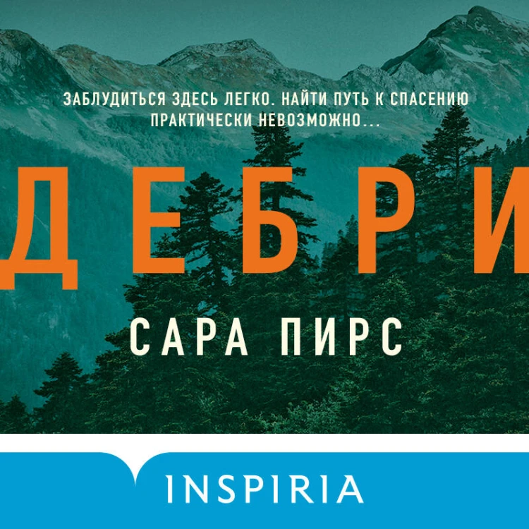 Дебри (формат клатчбук)