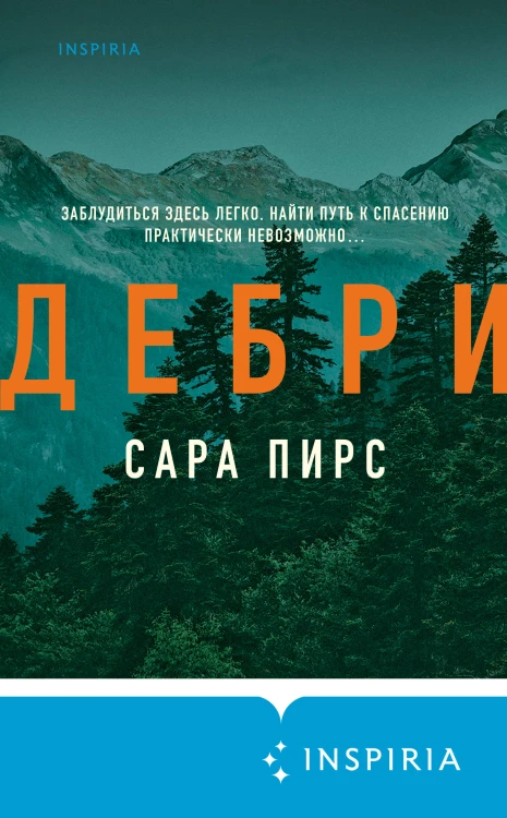 Дебри (формат клатчбук)