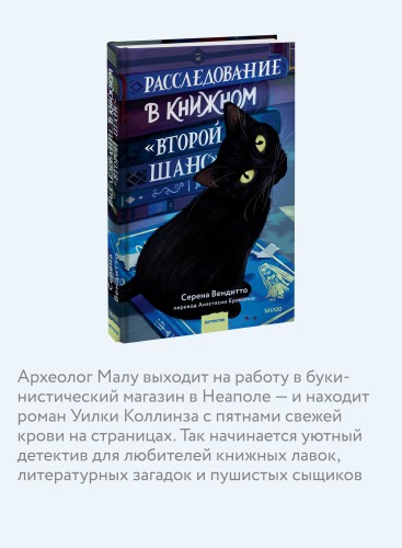 Расследование в книжном «Второй шанс»
