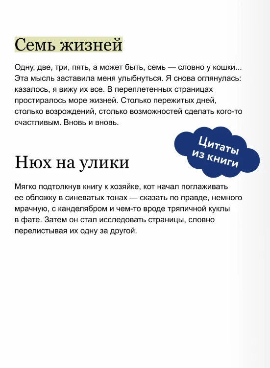 Расследование в книжном «Второй шанс»