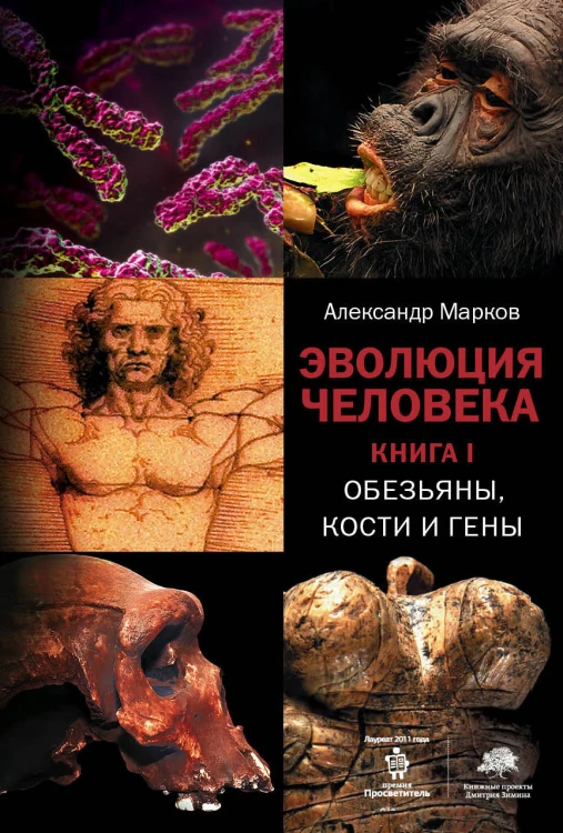 Эволюция человека. [В 2 кн.] Кн. 1. Обезьяны, кости и гены