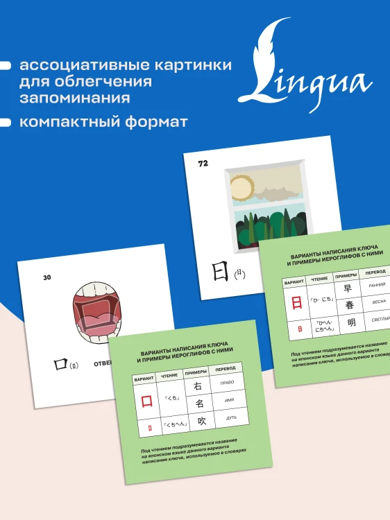214 иероглифических ключей японского языка. Флеш-карточки
