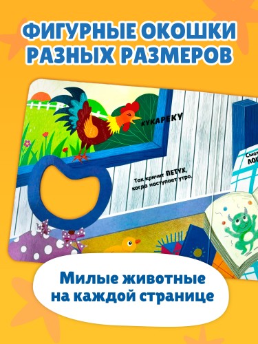 Загляни в окошко! Кто как говорит?
