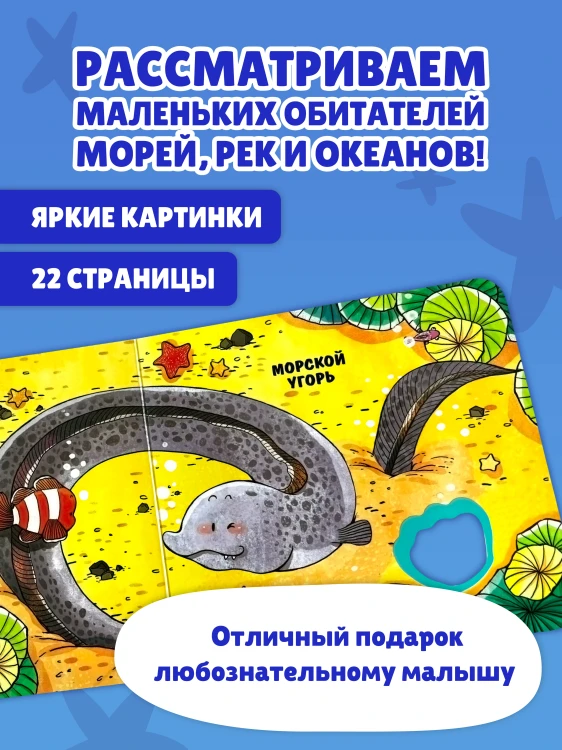 Загляни в окошко! Подводный мир