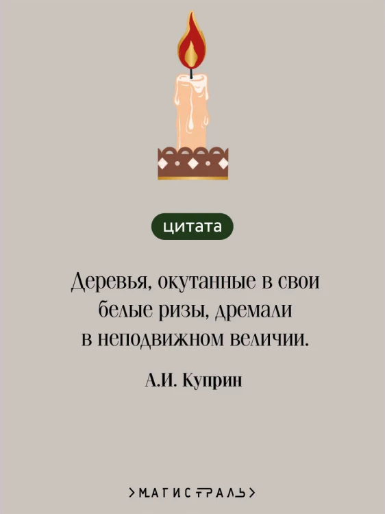 Святочные истории. Русская классика