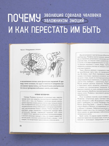 Коктейль эмоций. Градус наших чувств: как мозг виртуозно смешивает их, чтобы мы не натворили много глупостей