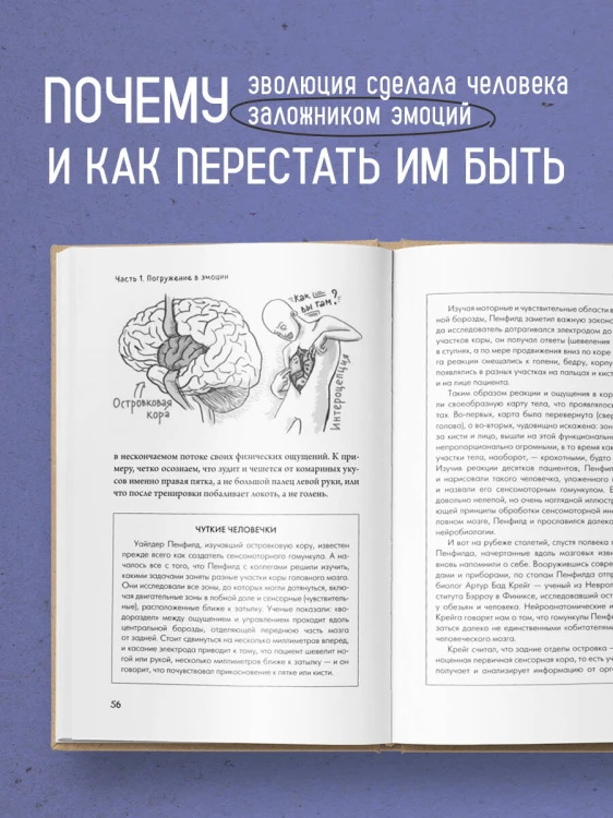 Коктейль эмоций. Градус наших чувств: как мозг виртуозно смешивает их, чтобы мы не натворили много глупостей
