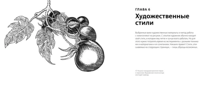 Научиться рисовать быстро