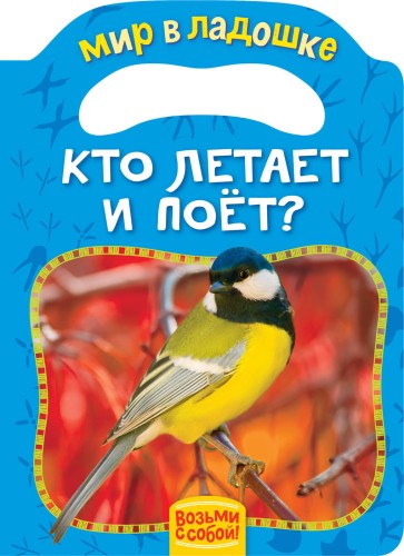 Кто летает и поет? (МвЛ)
