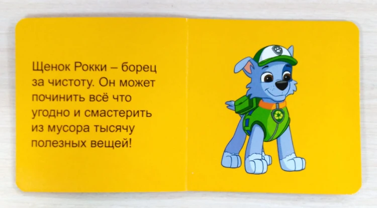 rokki_.jpg