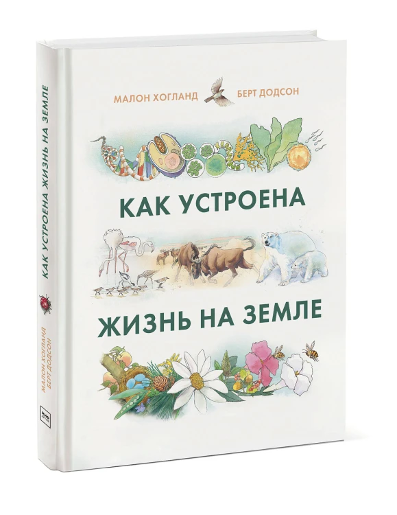 Как устроена жизнь на Земле