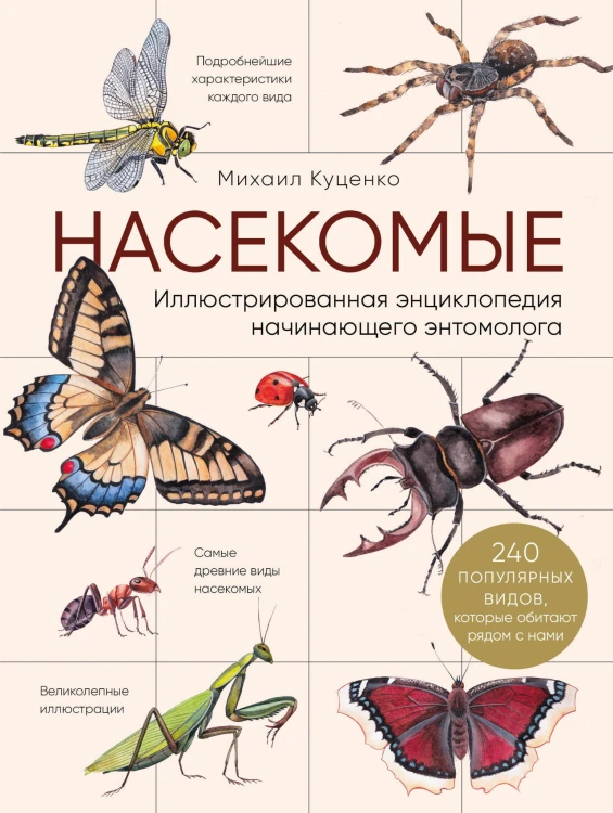 Насекомые. Иллюстрированная энциклопедия начинающего энтомолога. 240 популярных видов, которые обитают рядом с нами