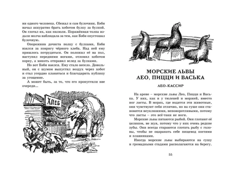 Мои звери