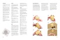 Вязаный зоопарк: Коврики, подушки, сумки для игрушек, аксессуары. Более 20 моделей для вязания крючком