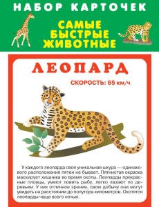 САМЫЕ БЫСТРЫЕ ЖИВОТНЫЕ