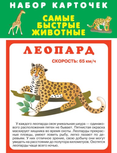 САМЫЕ БЫСТРЫЕ ЖИВОТНЫЕ